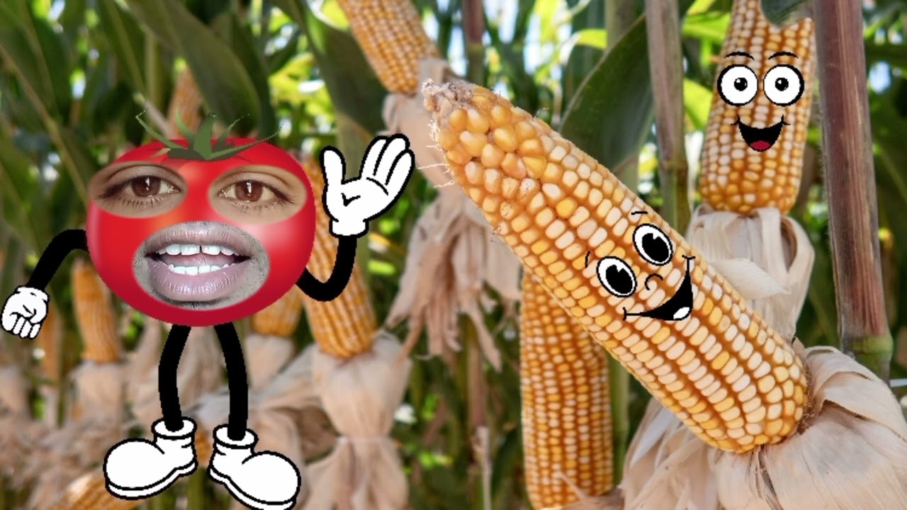 aloo pyaj funny comedy video hindi | makka funny comedy | soyabin ko kheti