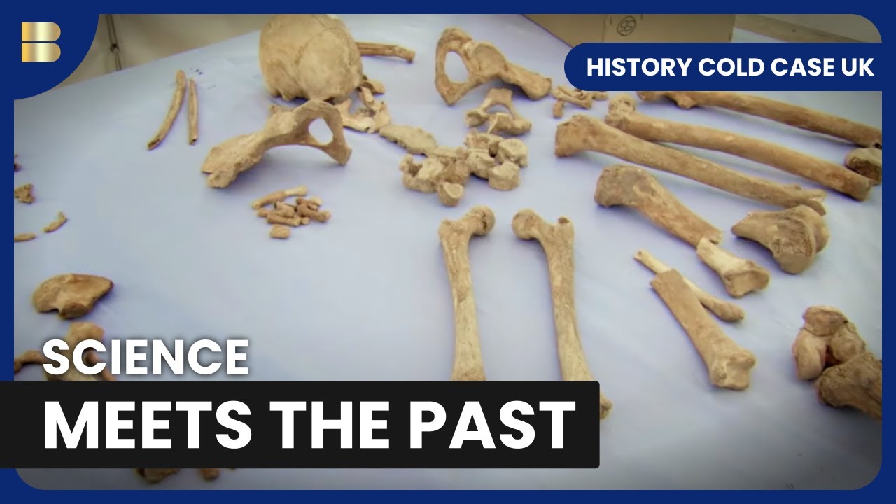Uncovering Human Remains Compilation | History Cold Case UK