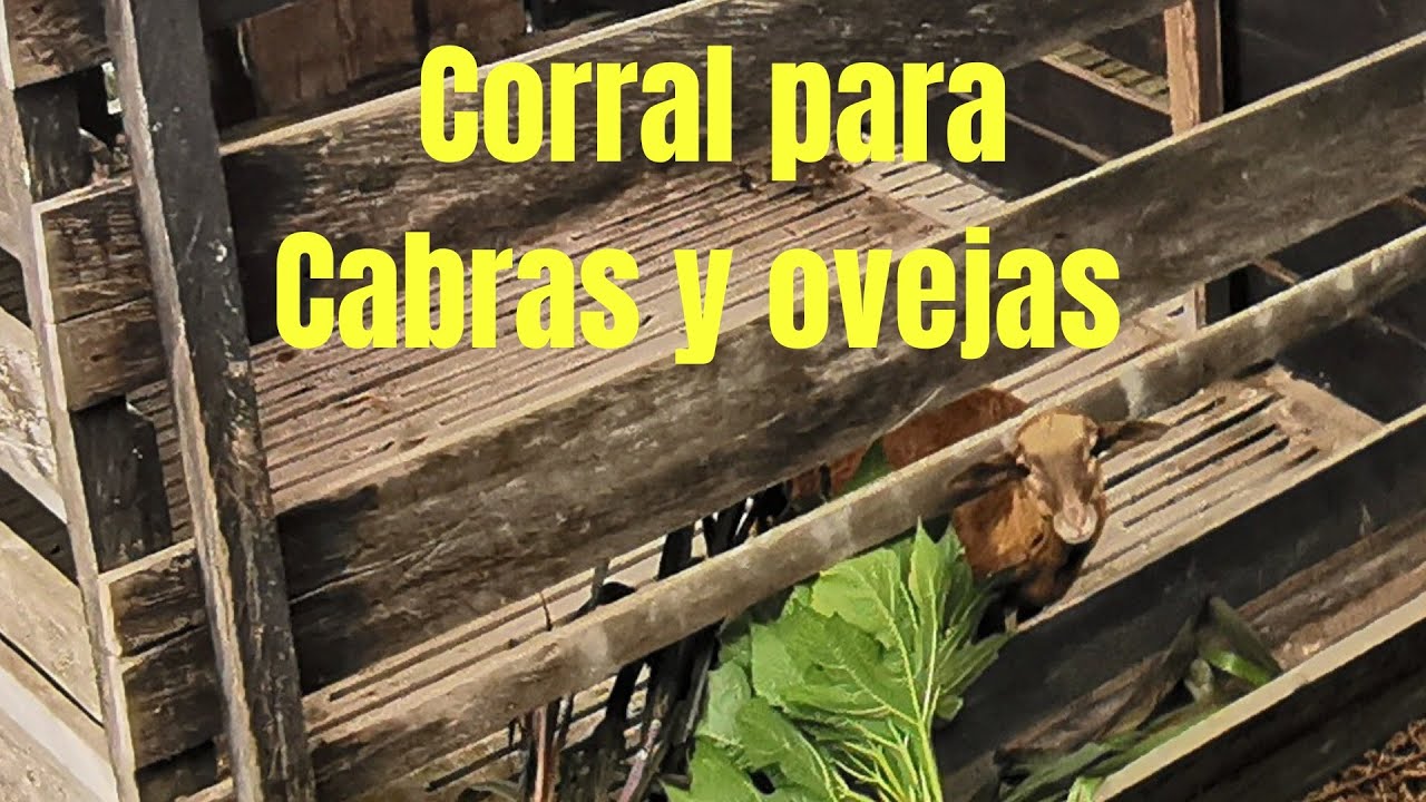 ✔Corral para cabras pequeño🐐