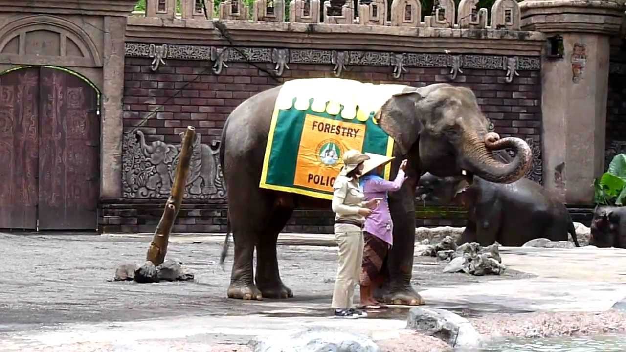 Bali Safari & Marine Park - Elephant show