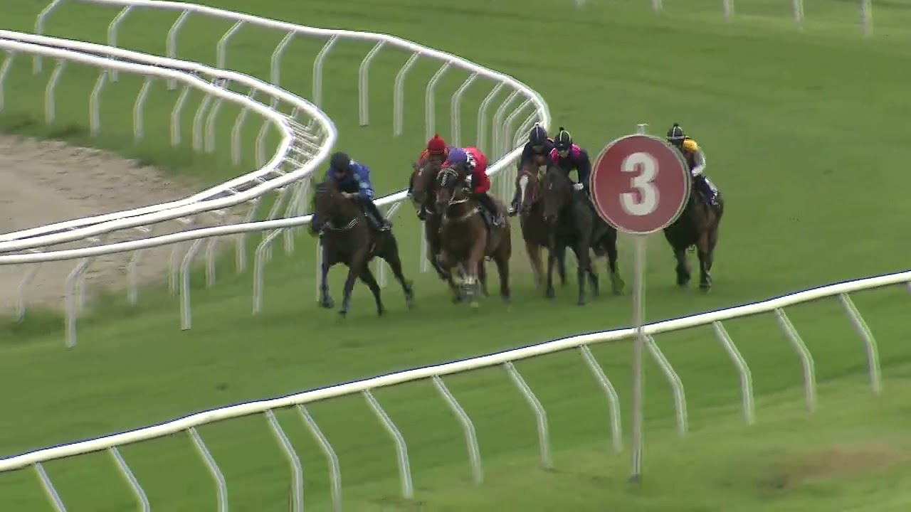 Heat 5   Doomben Jumpouts 2701