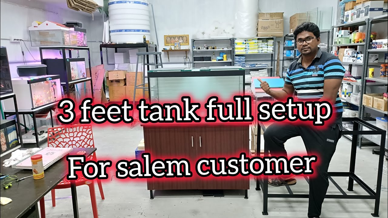 3 feet tank full setup #chennai #aquarium #fishaquarium #fishbowl #fishbowl #home #salem #diy #tank 