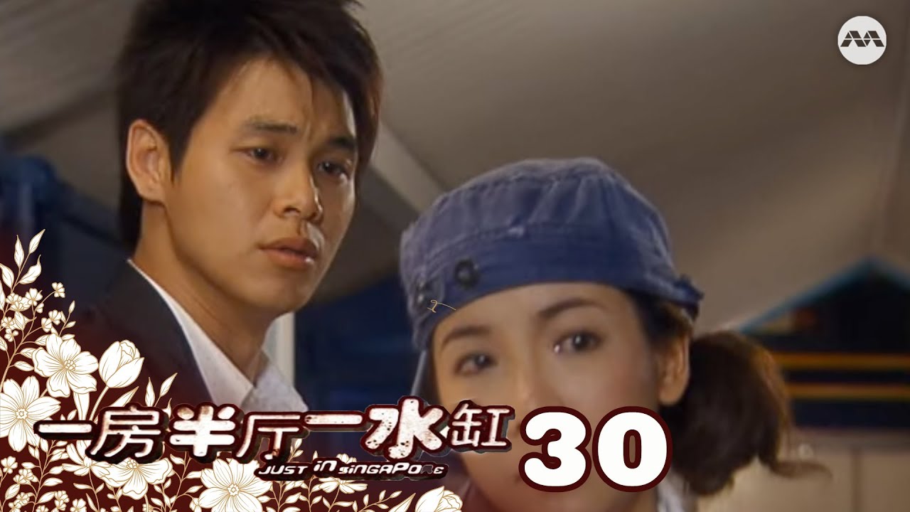 Just in Singapore 一房半厅一水缸 EP30 | 新传媒新加坡电视剧
