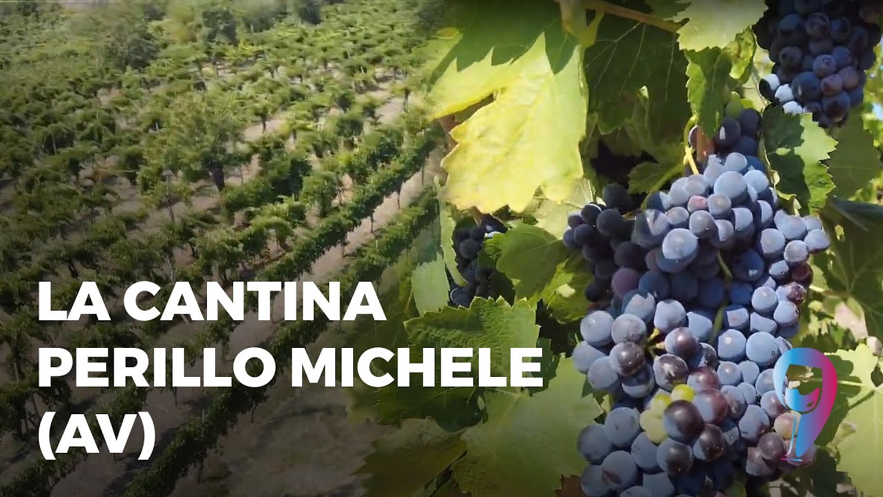 La Cantina Perillo Michele (AV)