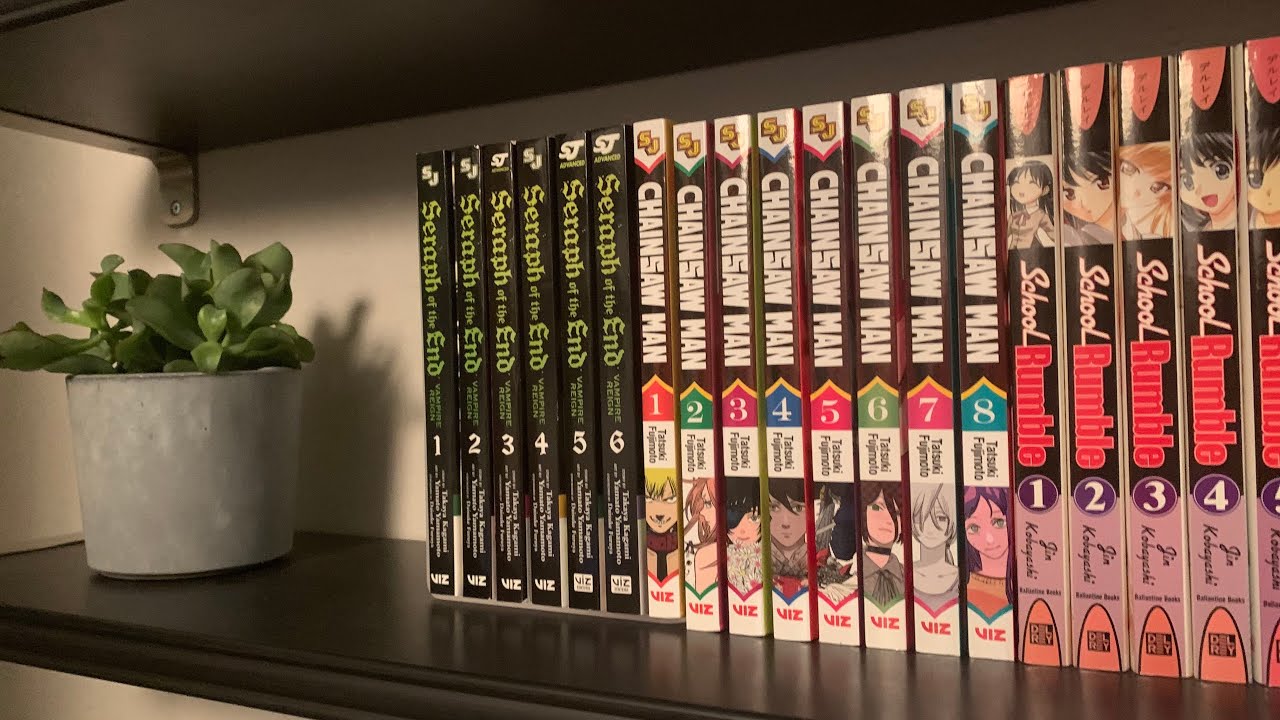 My 2021 Manga and Light Novel Collection 500+ Volumes
