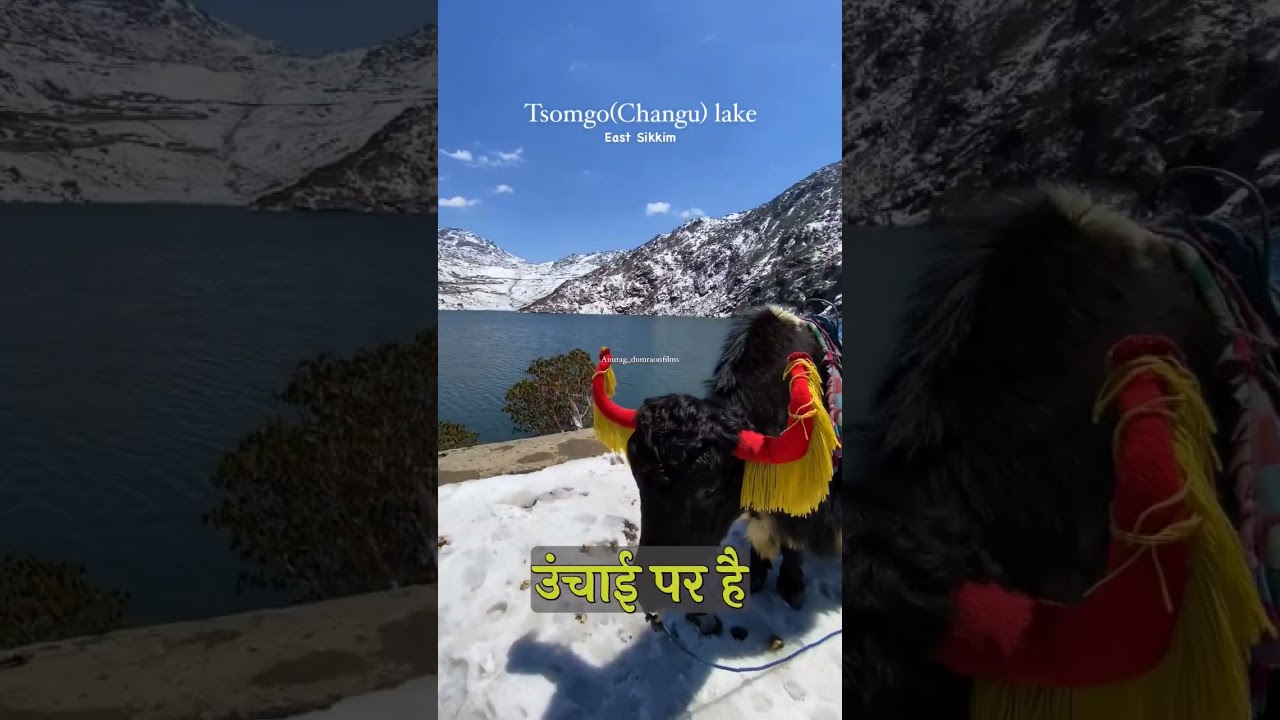 Tsomgo lake - Sikkim (Subscribe Anurag_dumraonfilms for more videos)