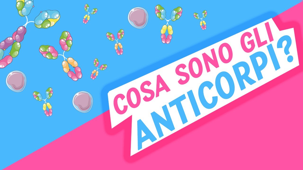 Cosa sono gli Anticorpi? | Pillole di Scienza