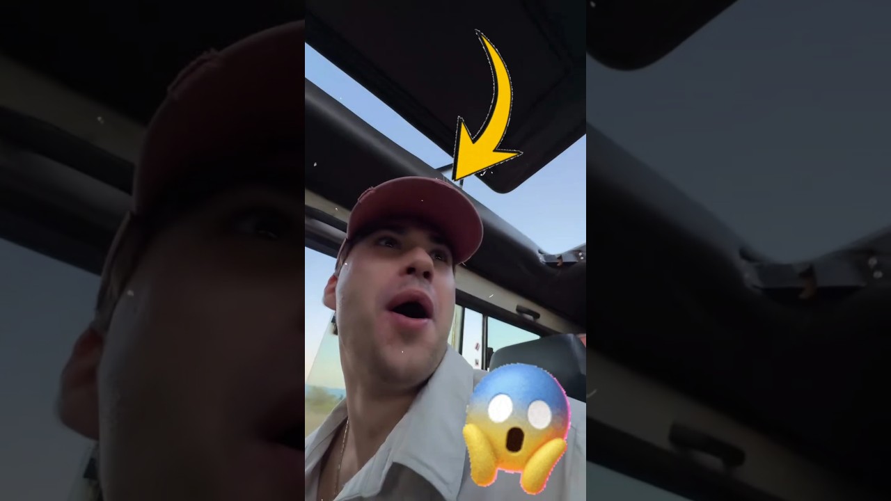 BARTEK KUBICKI😱 REAKCJA NA PRAWDZIWEGO TYGRYSA😱 