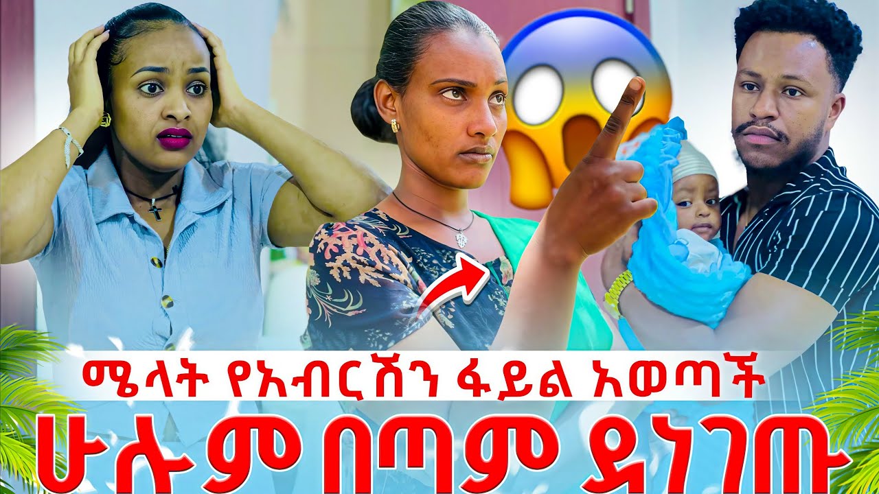 ሜላት ድብቁን ፋይል ይፋ ለማውጣት ተገደደች