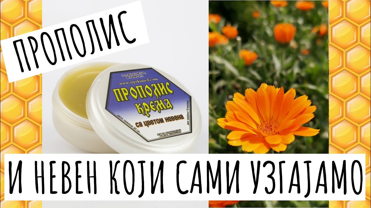 Propolis krema sa nevenom koji sami uzgajamo. Kako? - Pčelarsko gazdinstvo Novković