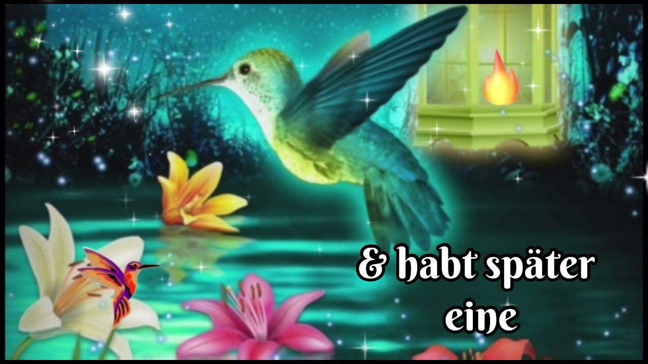 Wundersch&ouml;nen Abend🌛 Sch&ouml;nen Mittwochabend 🌙💫
