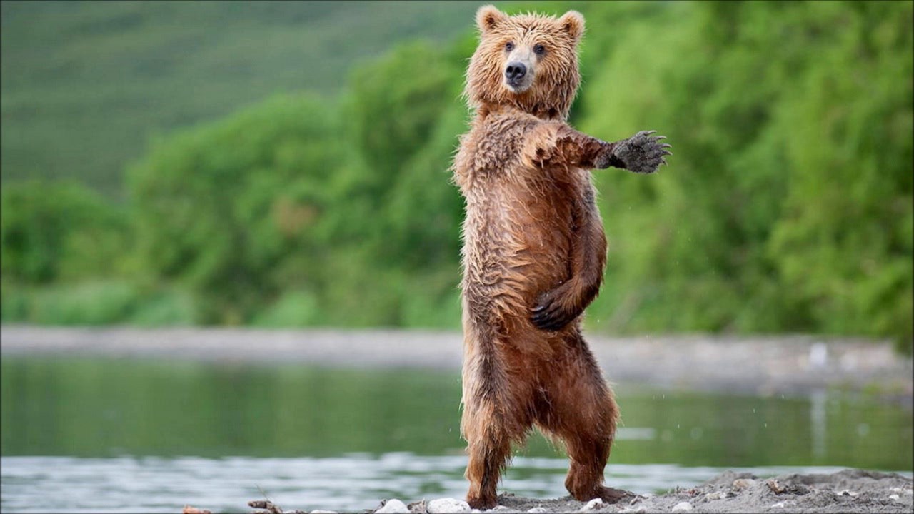 Purple Disco Machine - Body Funk (Original Mix)