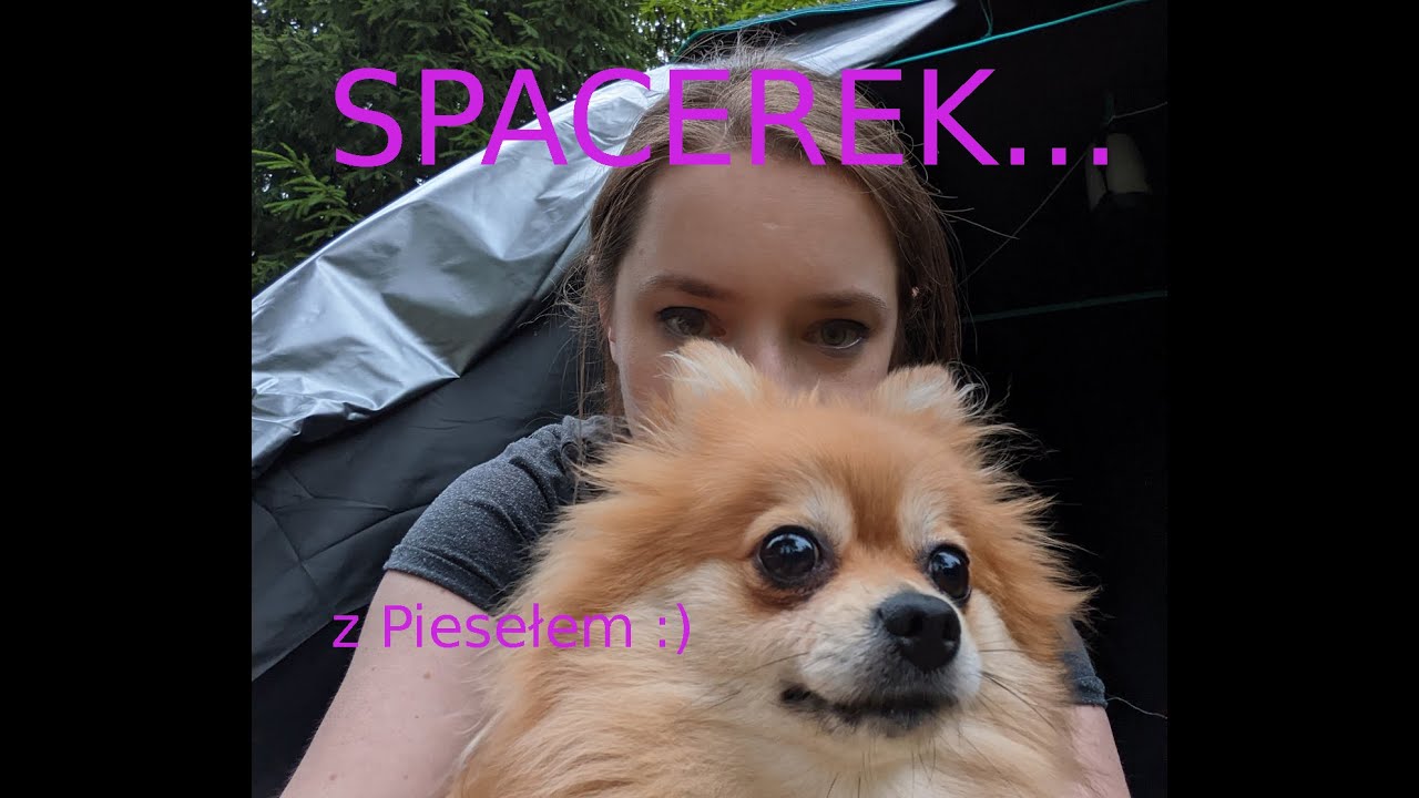Spacer z psem - wskaz&oacute;wki i porady :)