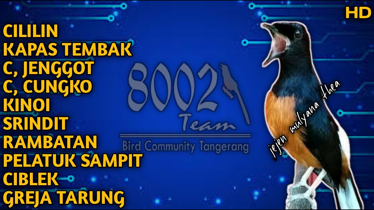 YANG DI TUNGGU ‼️ MASTERAN SUPER LENGKAP ‼️ UNTUK TROTOL - DOKOR - PASTOL