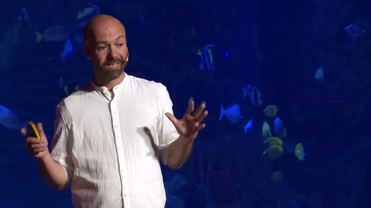Una idea sencilla puede cambiarlo todo en la ayuda humanitaria | Juan Sanz | TEDxValencia
