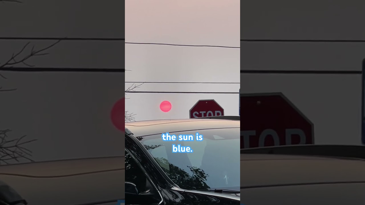 🔴 Have u ever seen a ☀️ like this? The Sun Right Now is RED from wildfires!! #shorts #sun #sunset