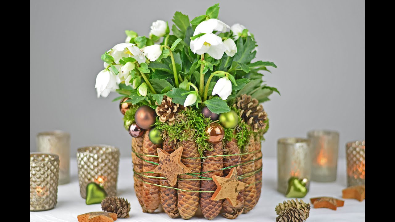 DIY - Christrose dekorieren mit Fichtenzapfen, Moos I Tischdeko für Weihnachten und Winterzeit I