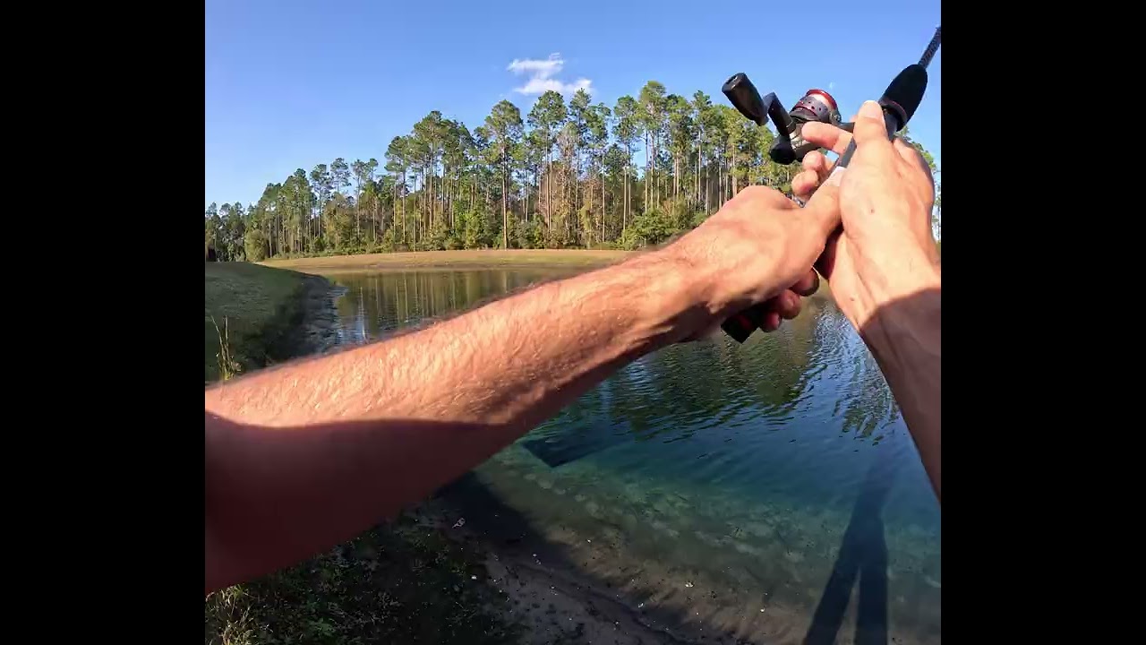 Part 2 Fishing the pond outback