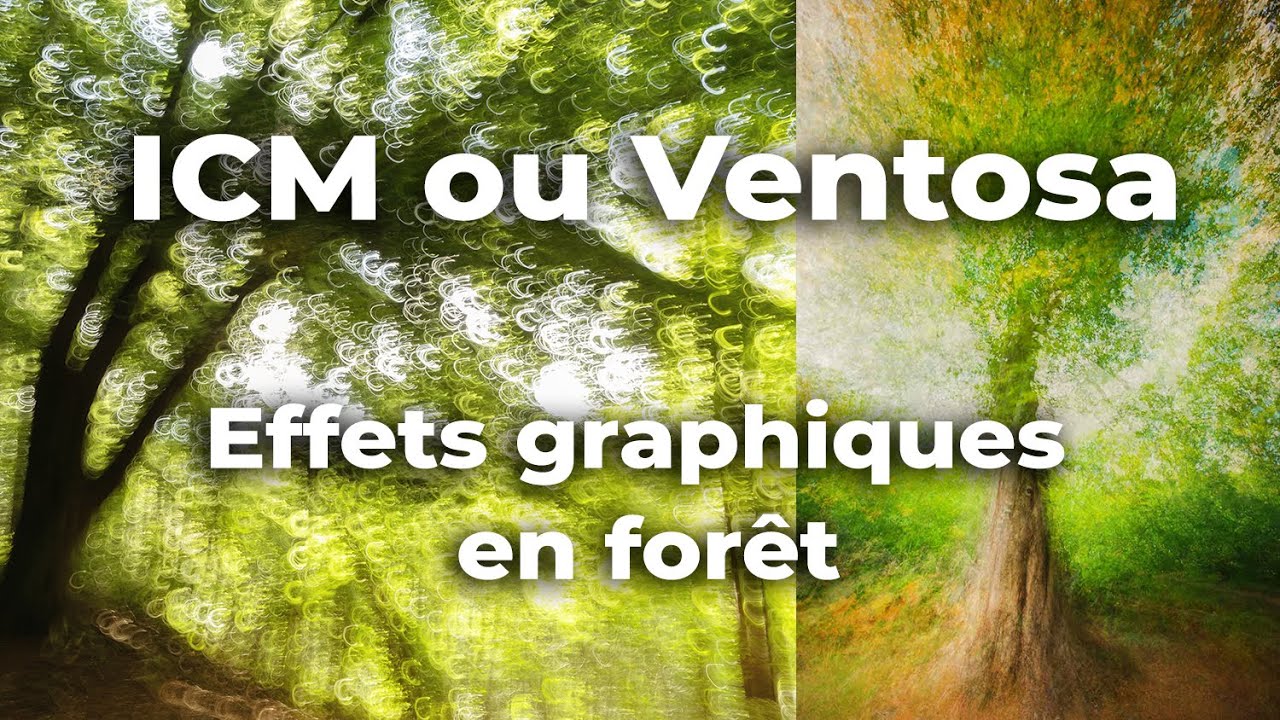 Effets ICM et Ventosa en forêt.