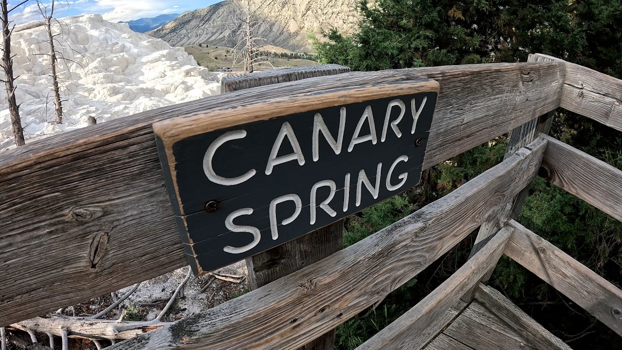 Canary Spring, Scenic spot in Yellowstone National Park, Wyoming, USA