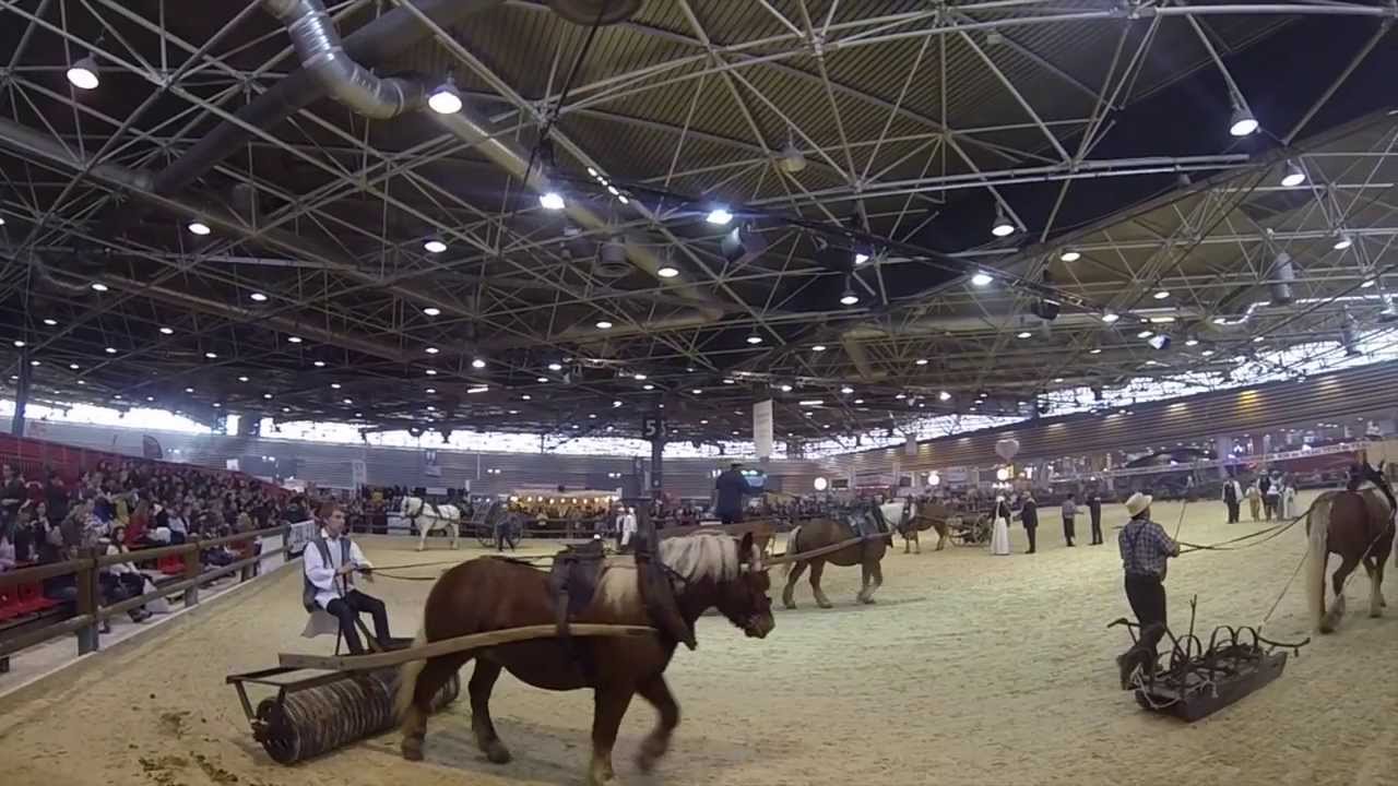 Equita'Lyon 2013 par Espritrait