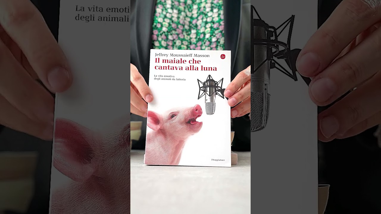 Leggere per non lasciare commenti di 💩 