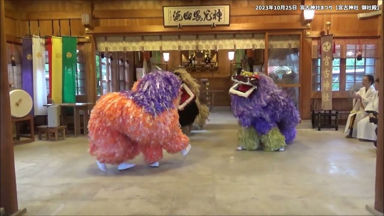 創作獅子舞「琉球國祭り太鼓 宮古支部」2023年10月25日 宮古神社まつり【宮古神社 御神殿】lion dance