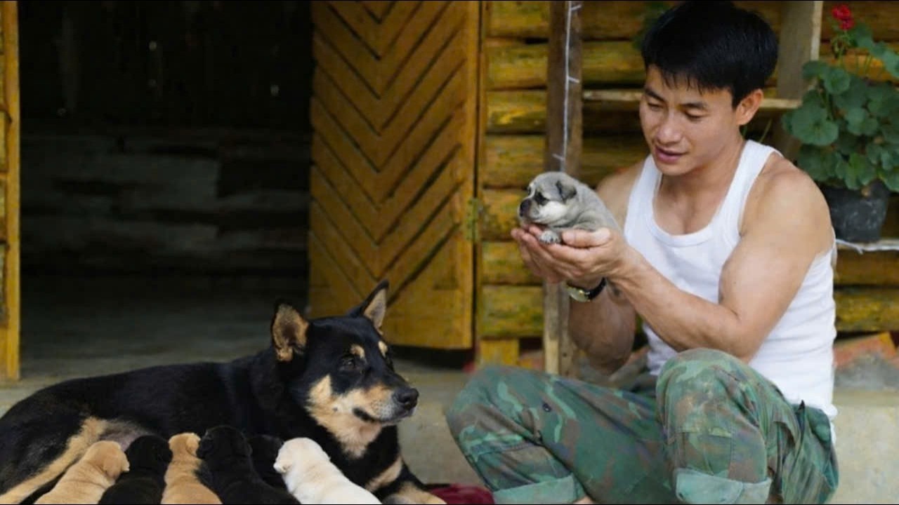 After Returning From His Trip, The CEO Visited the Farm and Micky Gave Him an Unforgettable Gift