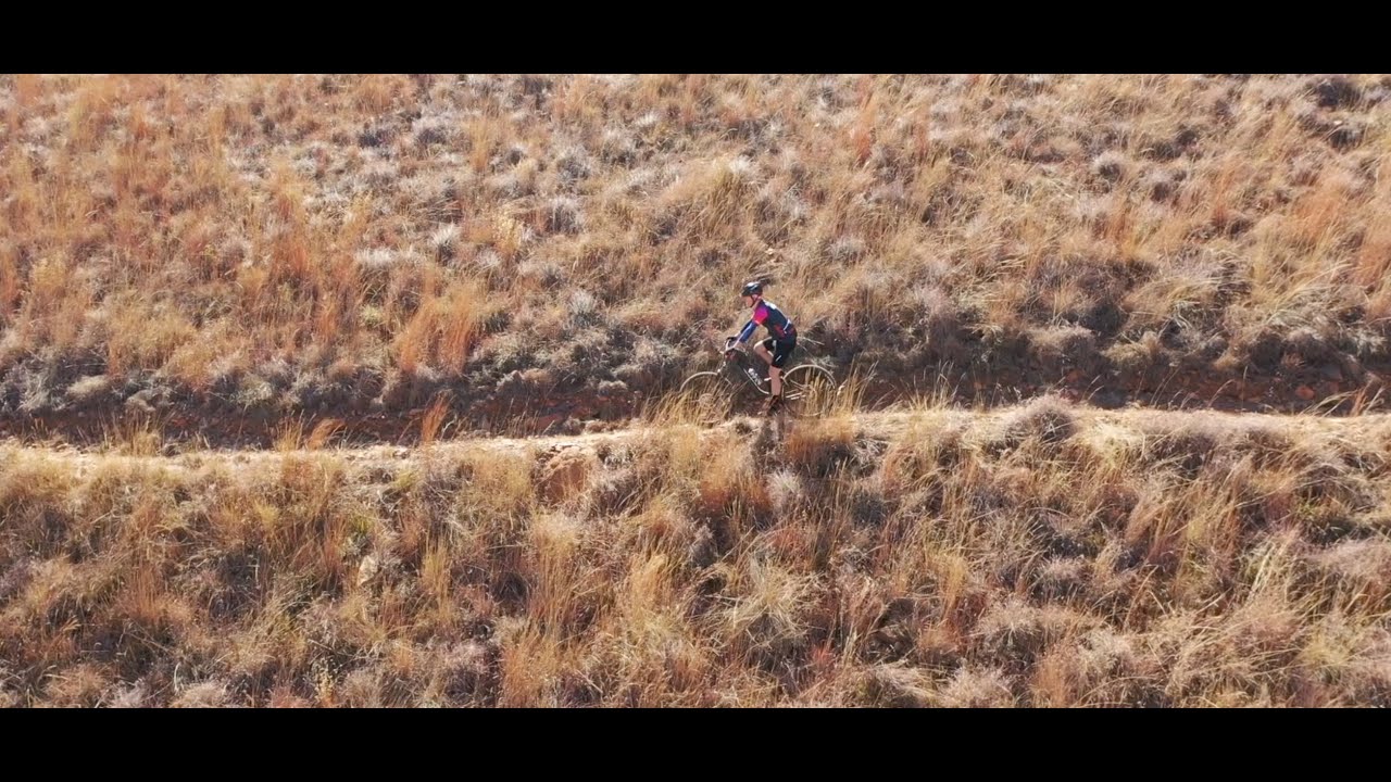 BigD SingleTrack @Van Gaalen