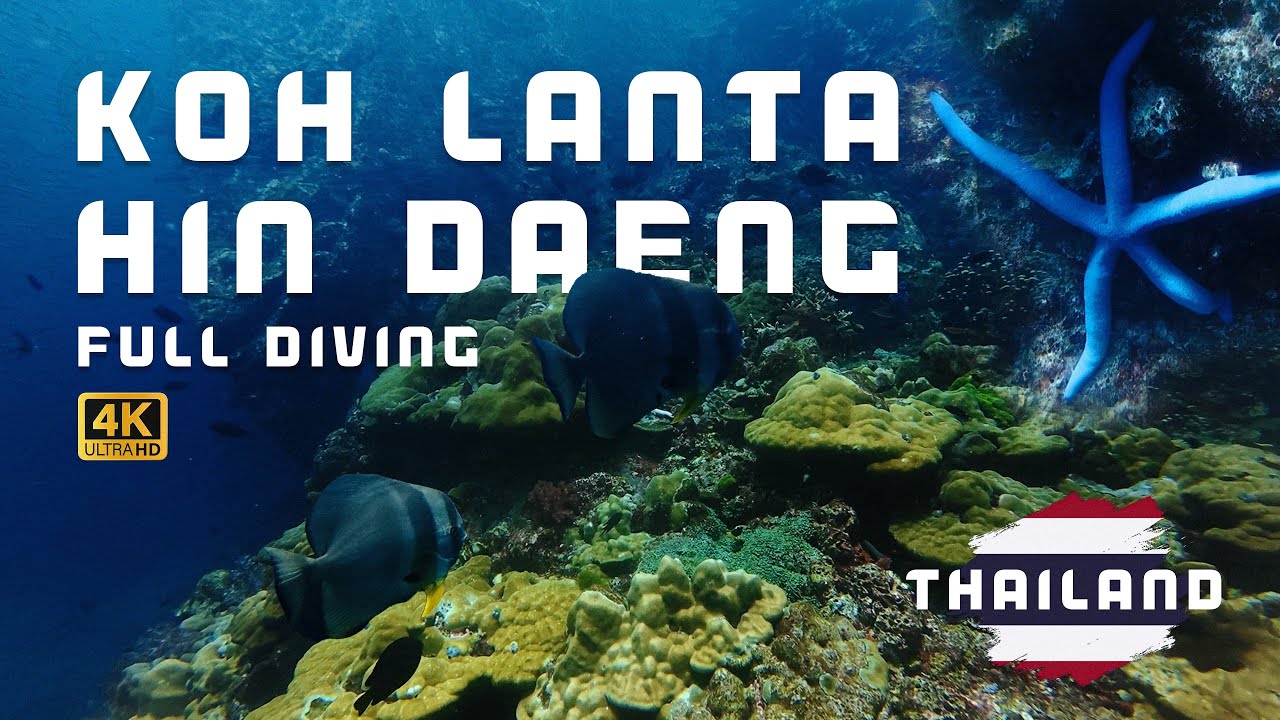 Thailand Koh Lanta Hin Daeng | 4K UHD Underwater Video Full Diving
