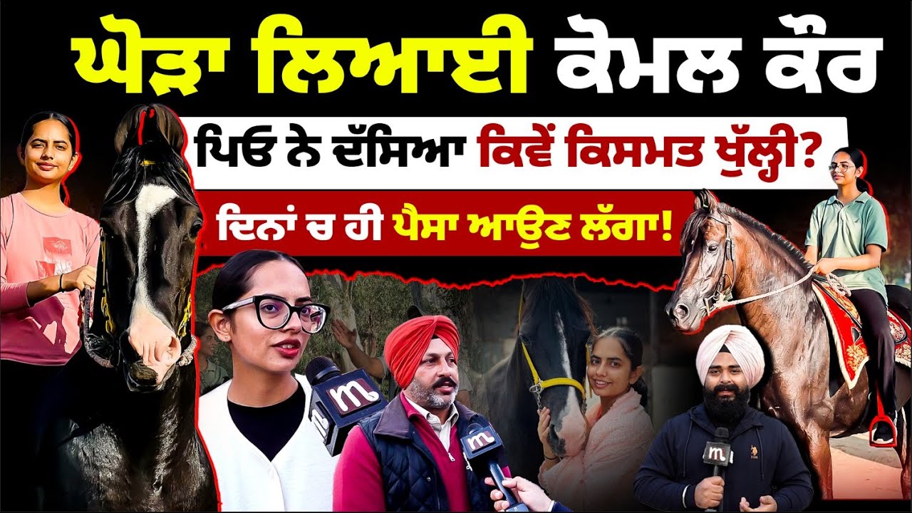 ਘੋੜਾ ਲਿਆਈ ਕੋਮਲ ਕੌਰ, ਦਿਨਾਂ ਚ ਹੀ ਪੈਸਾ ਆਉਣ ਲੱਗਾ! l MITTI