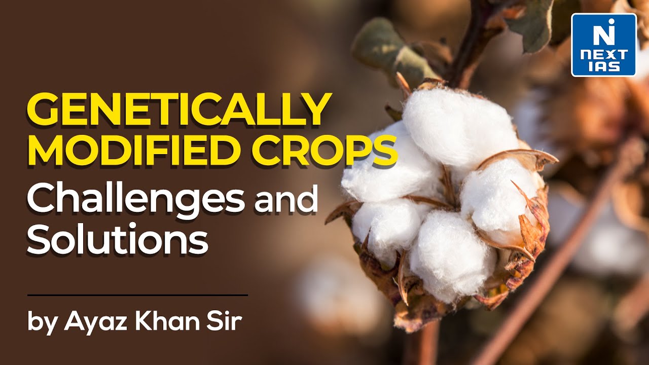 Genetically Modified Crops I Bt- Cotton I GM- Mustard I GM Crops I Ayaz Khan Sir I IAS 2022