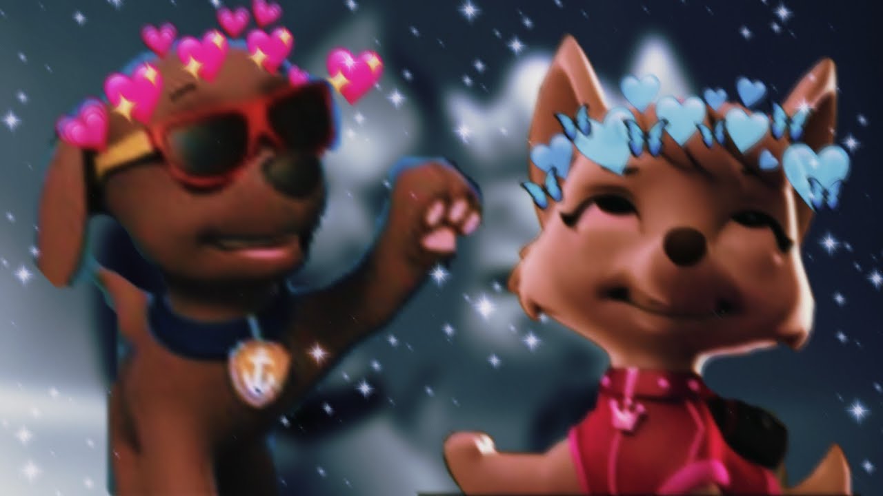 🐺Zuma x Sveetie 🐺✨ Зума и Свити ✨