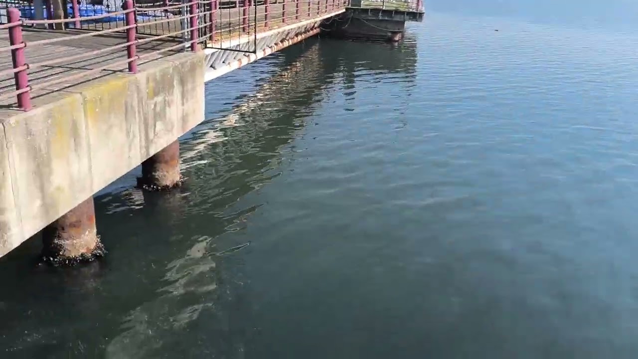 Sekapark öğle arası gezintisi vlog (Kocaeli)