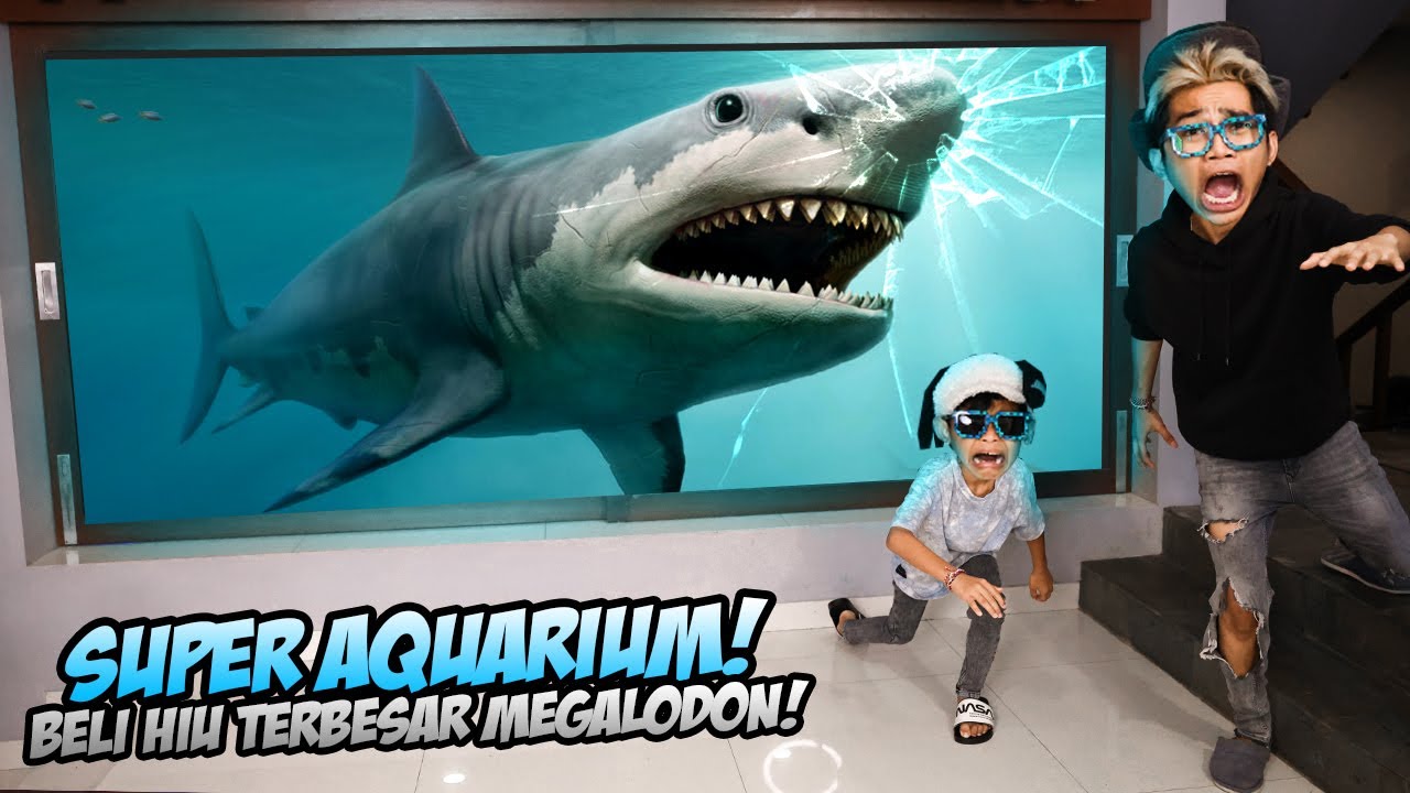 PERMINTAAN KALIAN! BELI HIU LAUT MASUKIN KE AQUARIUM SUPER BESAR! DIA NGAMOK KACA HAMPIR PECAH!!!