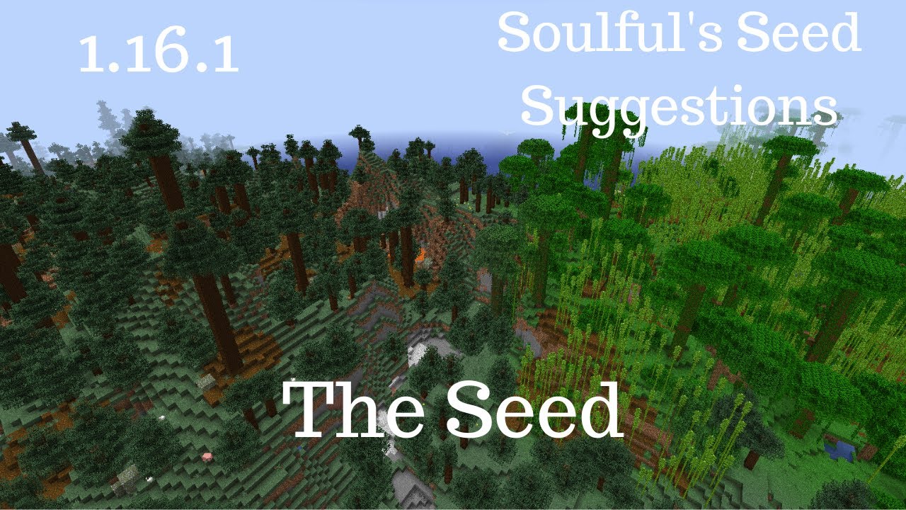 Soulful's Seed Suggestions Ep. 029: The Seed
