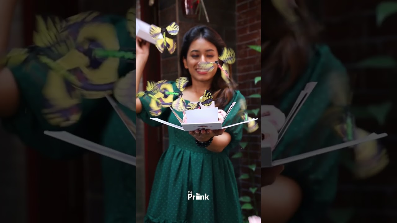 DIY Butterfly box for Birthday and Anniversary | Flying Butterfly Surprise Explosion Box Reaction