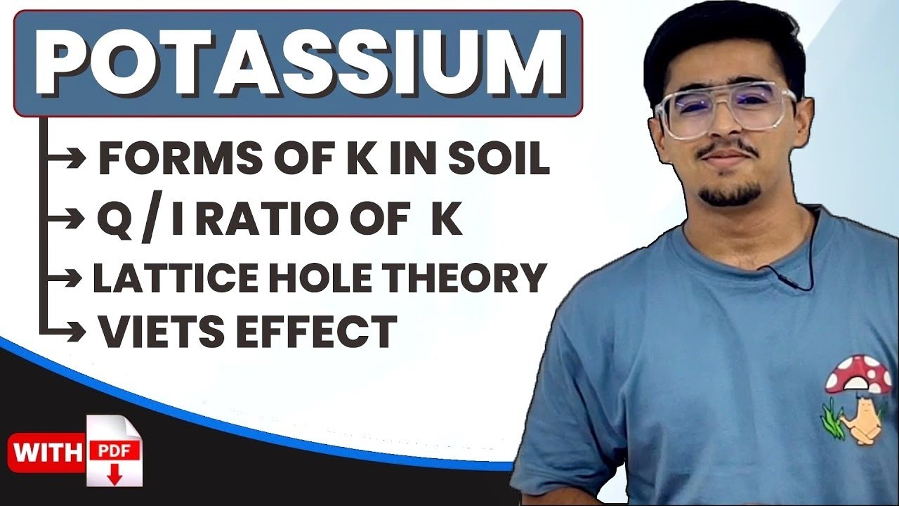 Forms of Potassium, K fixation, Q/I relation of K, Lattice Hole Theory, Viets Effect #agronomy