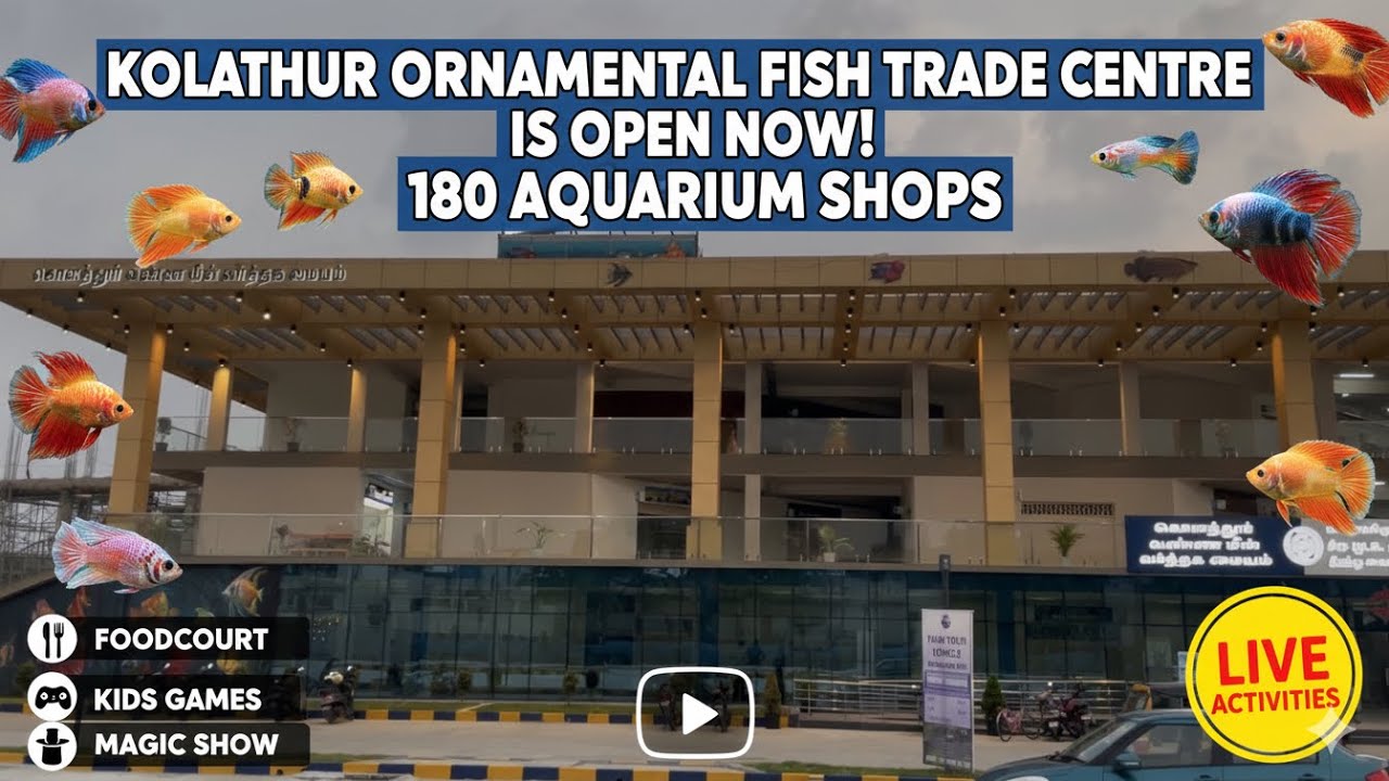 KOLATHUR NEW FISH TRADE CENTRE: 180 Shops, Food Court & Kids Zone!