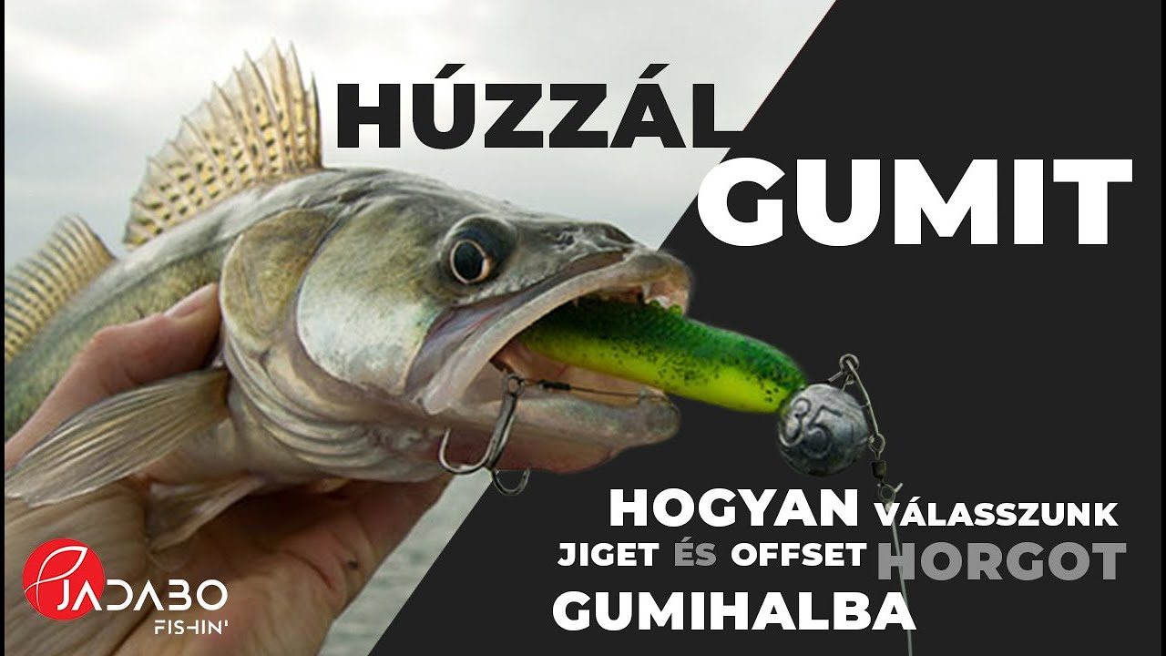 Hogyan v&aacute;lasszunk jiget &eacute;s offset horgot gumihalba?