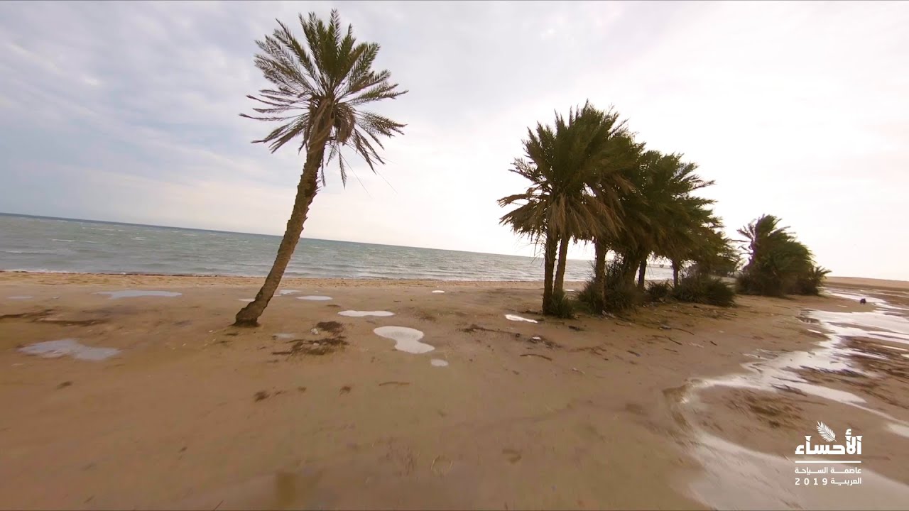 الأحساء.. أم النخيل وبنت الطبيعة البكر الأحساء عاصمة السياحة العربية