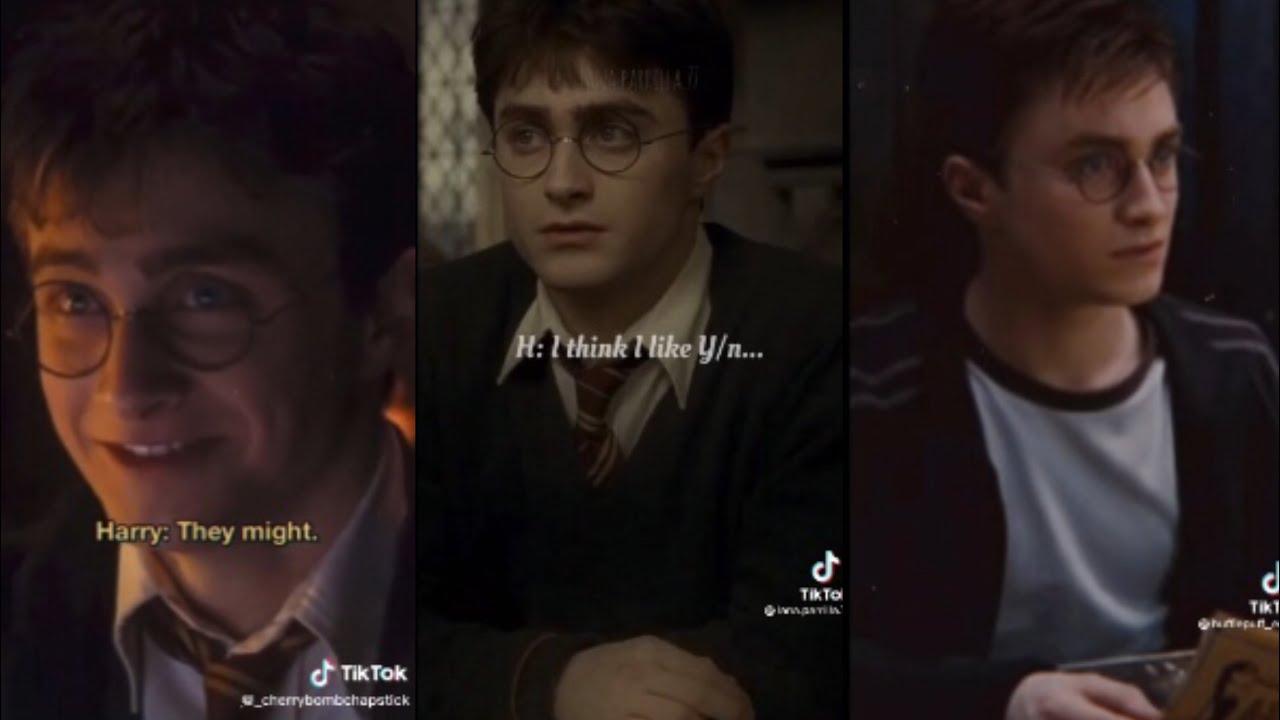 More Harry and Y/N TikTok POVs