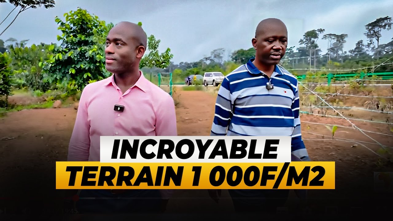 Miracle: Terrains à 1000F/M2 en BORDURE de route