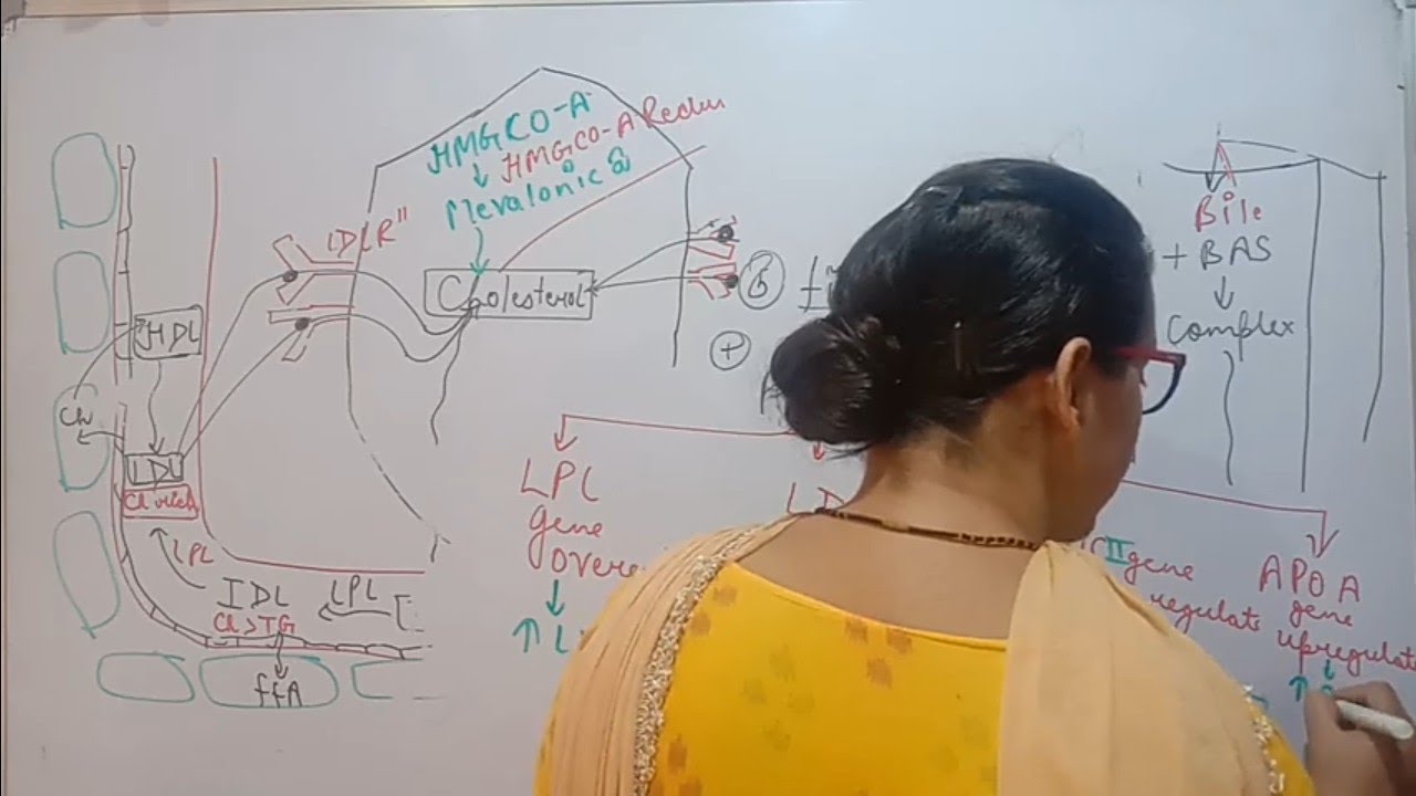 HYPOLIPIDAEMIC DRUGS | PART-2