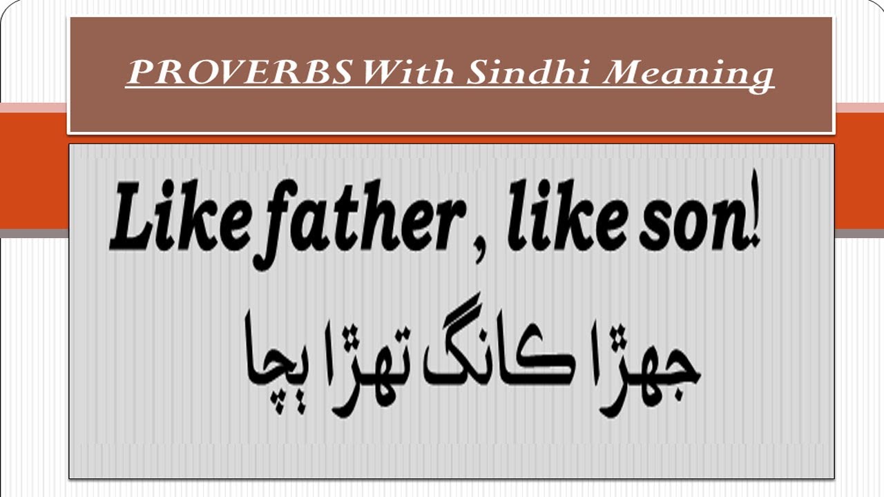 20 Most Important Proverbs with Sindhi Meaning II English Proverbs II Sindhi Proverbs.
