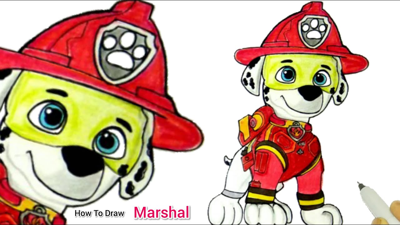 Watch Paw Patrol Movie | Marshall The Fire Pup Rescue | How To Draw Marshall From Paw Patrol Movie