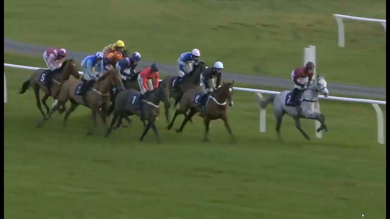 RACE 6 - NEWBURY UK 07 FEB 2026