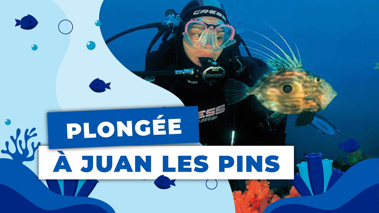 Pongée au large de Juan Les Pins en méditerranée, grotte Miro...avec le centre Plongéquilibre.