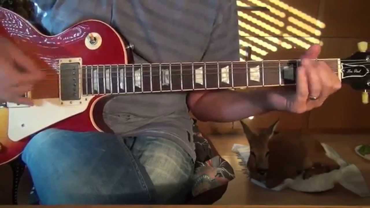 Johnny Winter guitar lesson Memory Pain complete