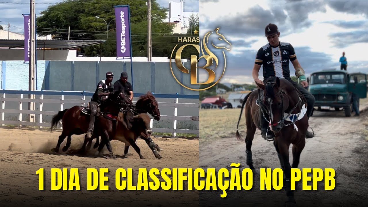 RESUMO COMPLETO DO 1 DIA DE CLASSIFICAÇÃO NO PEPB!